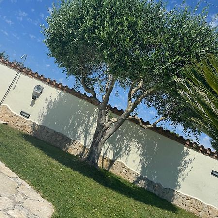 Gold House Luxury Anzio Villa ภายนอก รูปภาพ