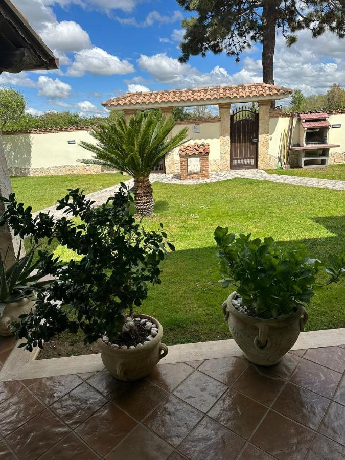 Gold House Luxury Anzio Villa ภายนอก รูปภาพ