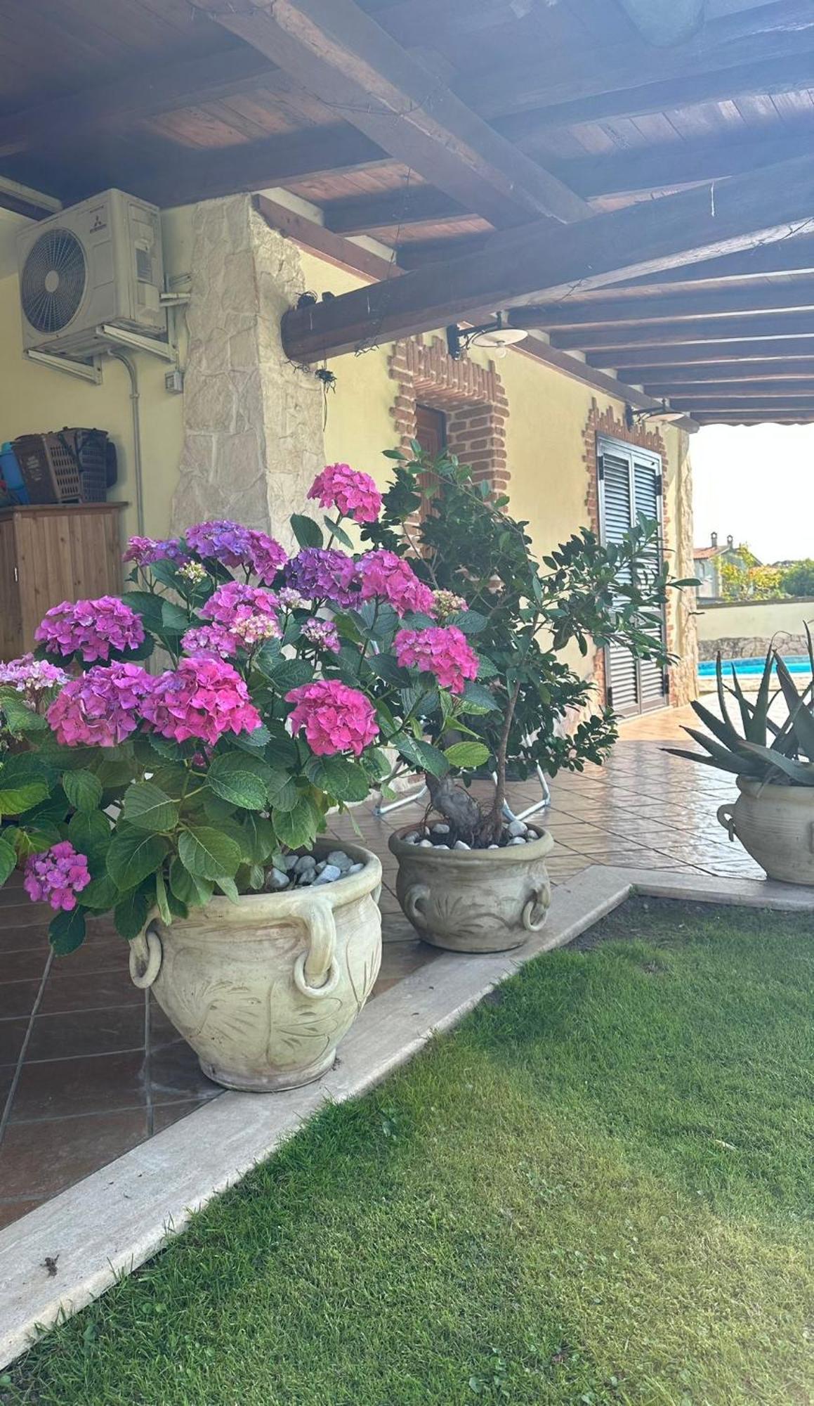 Gold House Luxury Anzio Villa ภายนอก รูปภาพ