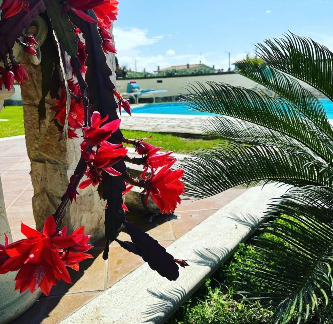 Gold House Luxury Anzio Villa ภายนอก รูปภาพ