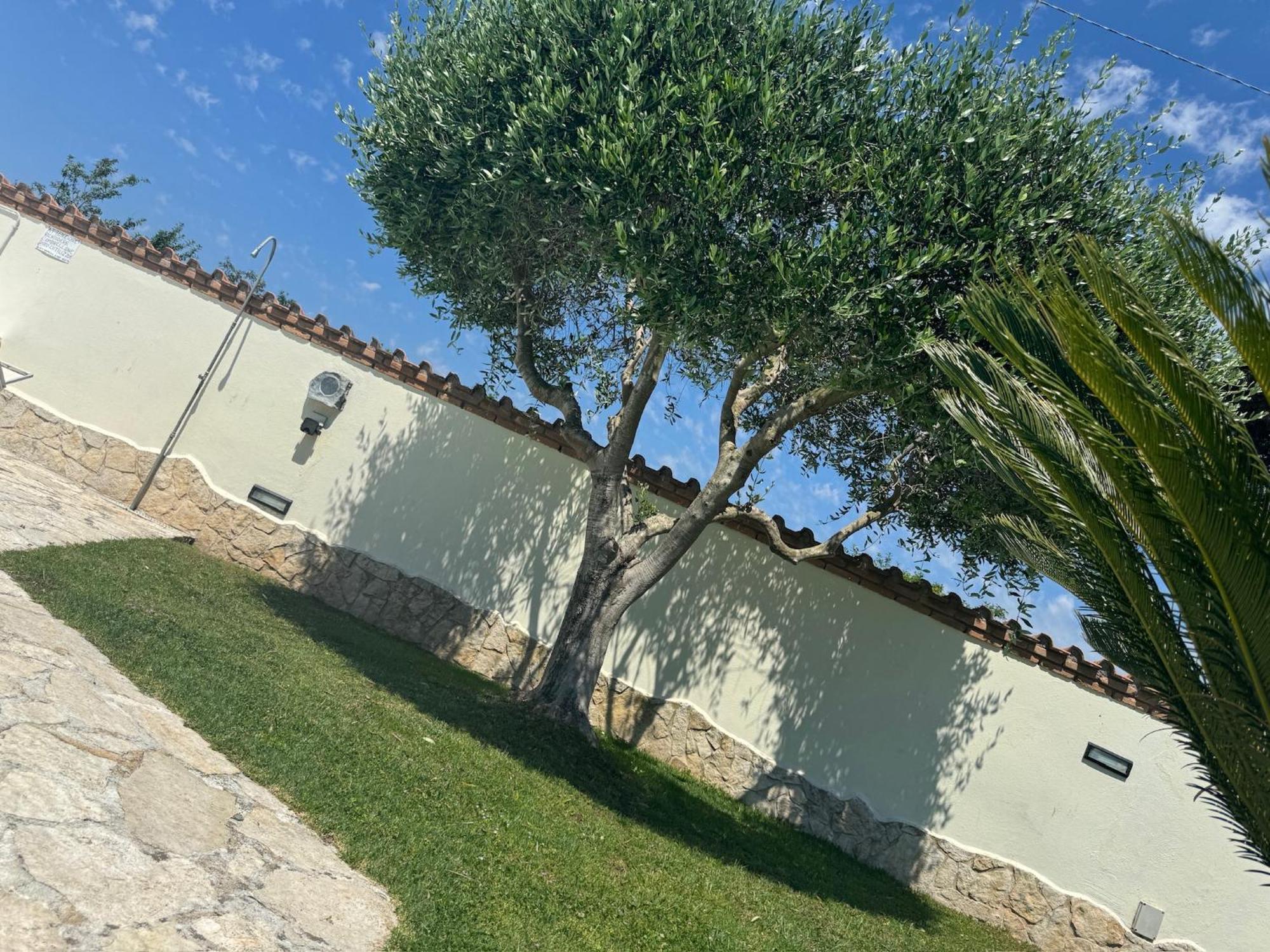 Gold House Luxury Anzio Villa ภายนอก รูปภาพ