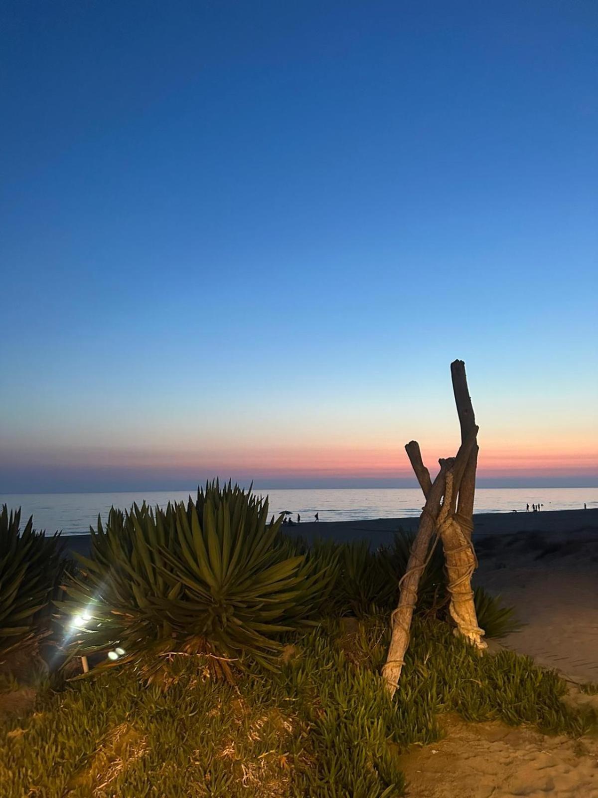 Gold House Luxury Anzio Villa ภายนอก รูปภาพ